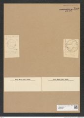 Diatomeae indet. Zeichnungen Sammlung Grunow Nr. 7966 (NHMW-BOT-W0377254)
